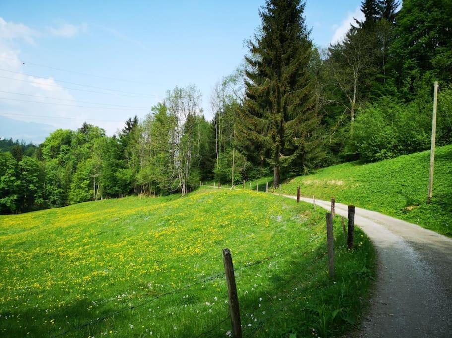 Forest View Apartment In Leissigen By Interlaken With No Kitchen Esterno foto